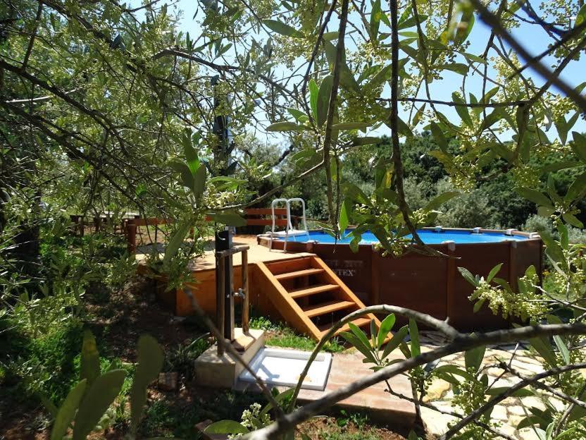 La Colombaia Holiday home